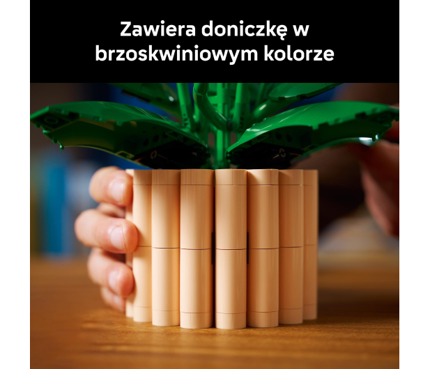 LEGO BOTANICALS 11504 Skrzydłokwiat - 1473410 - zdjęcie 7